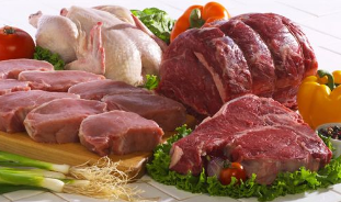 The important role of the composition of the diet