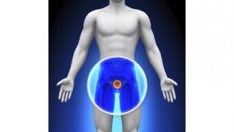 prostatitis in men